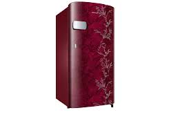 SAMSUNG 183 L DIRECT COOL SINGLE DOOR 1 STAR REFRIGERATOR  RR19C2YCZ6R